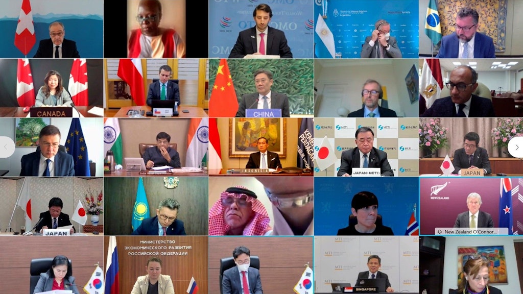 Screenshot of the Informal WTO Ministerial Videoconference