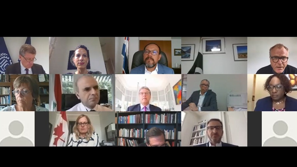 Friends of SDG Financing on the socio-economic impact of COVID-19 in developing countries