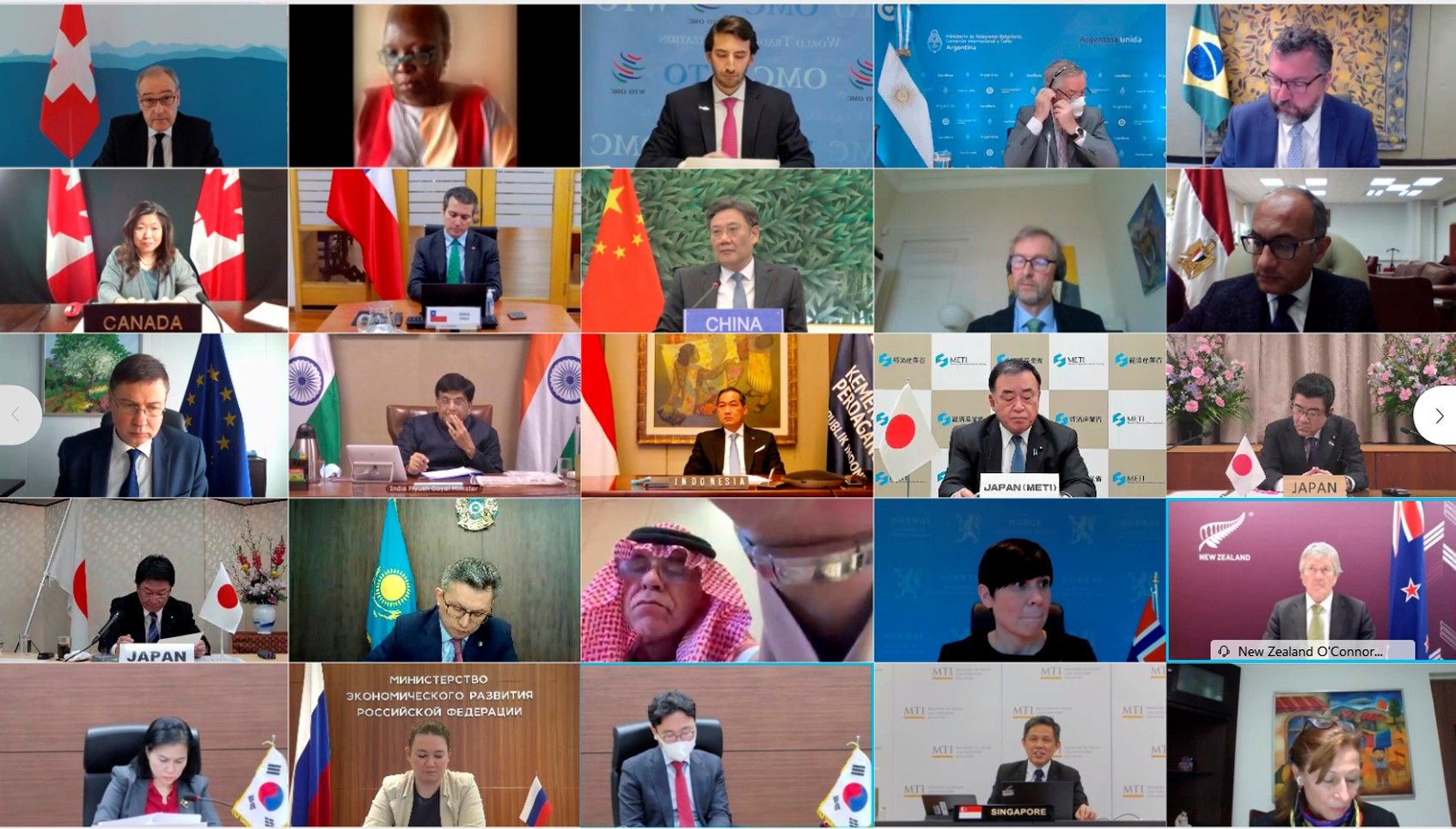 Screenshot of the Informal WTO Ministerial Videoconference