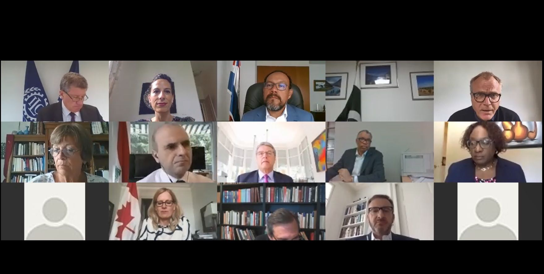 Friends of SDG Financing on the socio-economic impact of COVID-19 in developing countries